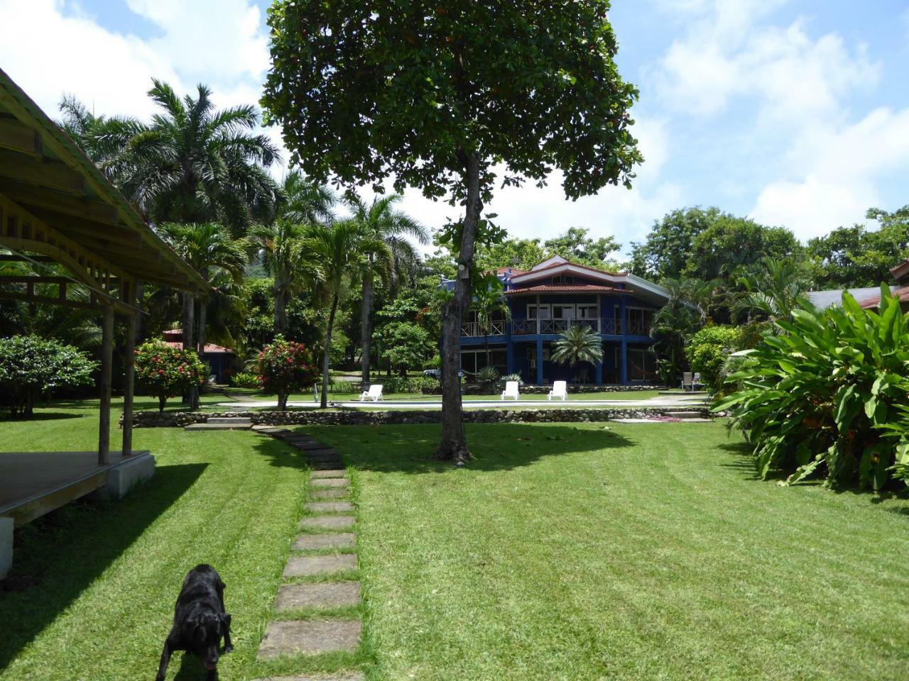 Hotel Casa Azul Playa Santa Teresa  Exterior foto